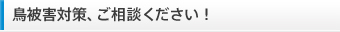 鳥被害対策、ご相談ください！